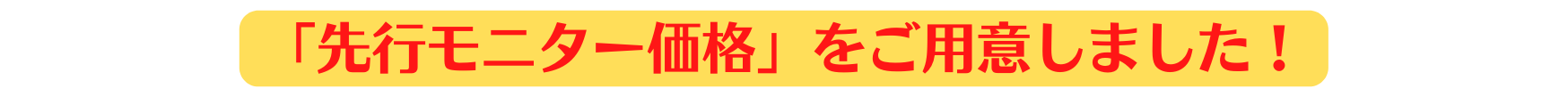 先行モニター価格 をご用意しました